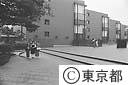 完成した都立美術館