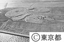 ごみ処理場（空撮）