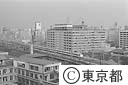 都庁舎