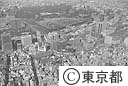 空から見る丸の内ビジネス街