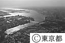 隅田川と中央卸売市場