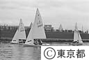海浜公園のヨット訓練所