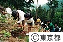山の植樹祭