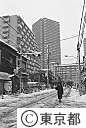 東京に１７センチの雪積る