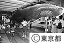 「都庁にクジラ現わる」都政ギャラリーの展示