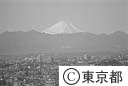 都庁から望む新春の富士山