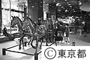 消防博物館に展示してある馬車式の消防車