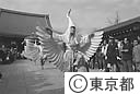 白鷺の舞