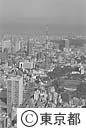 東京タワー