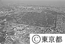 多磨霊園