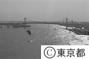 竹芝からのレインボーブリッジ