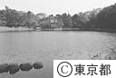 三宝寺池