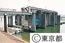 多摩川の魚類調査