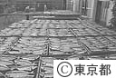 新島のくさや