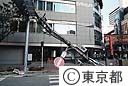 倒れた電柱