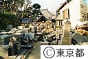 倒壊した寺と墓石