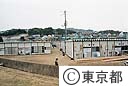 野球場に出来た避難住宅