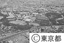 砧公園世田谷区立運動場