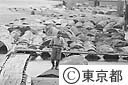 木場の貯木場