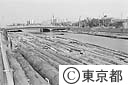 木場の貯木場