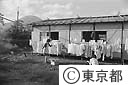 台風後の仮設住宅