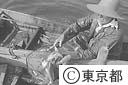 羽田沖のつぼあみ漁