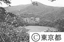 新澪の池