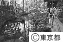 真姿の池（湧水）