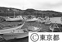 阿古漁港