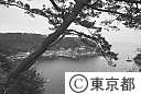波浮の港