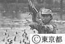 矢ガモの放鳥
