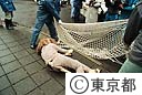 多摩動物公園 猛獣（ライオン）脱出対策訓練