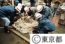 多摩動物公園 猛獣（ライオン）脱出対策訓練