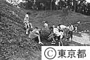 山の植樹祭（永山公園）