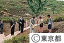 山の植樹祭（永山公園）