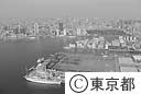 晴海客船埠頭と周辺（空撮）
