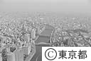 隅田川と周辺（空撮）