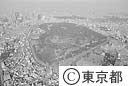代々木公園とＮＨＫ（空撮）
