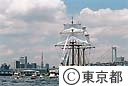 東京みなと祭、帆船パレード