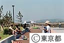 城南島は海を楽しめる公園