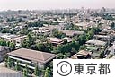 旧知事公館全景