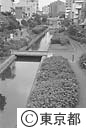 東京の道
