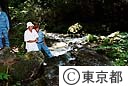 石原知事、水源林視察