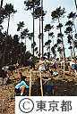 東京都植樹祭