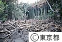 三宅島災害　泥流の流れた跡