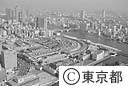 中央卸売市場