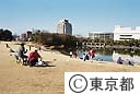 多摩センター中央公園
