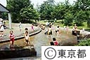 府中の森公園