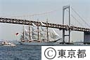 東京みなと祭　帆船パレード