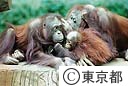 多摩動物公園